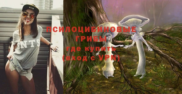 бошки Абдулино