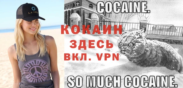 круглые Абаза