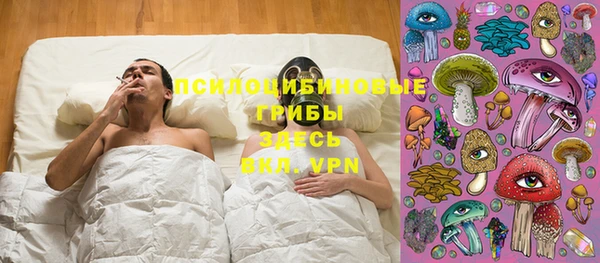 бошки Алексеевка