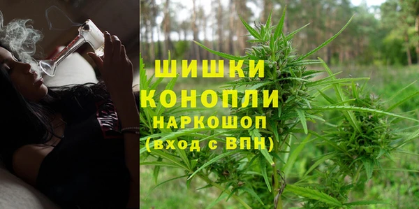 ECSTASY Новодвинск