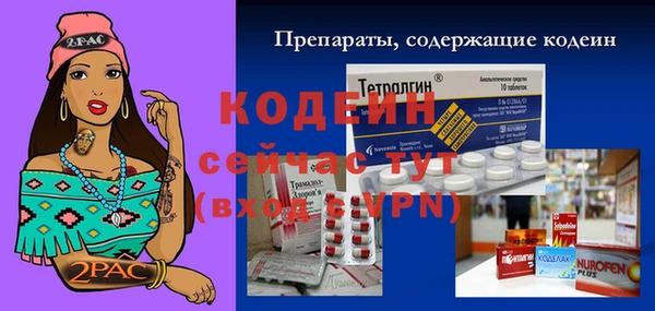 круглые Абаза