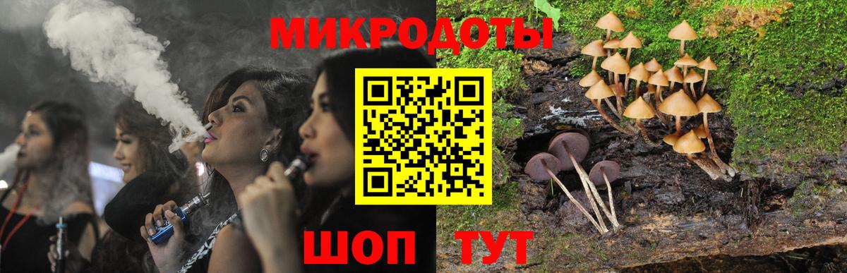Галлюциногенные грибы Psilocybe Прокопьевск