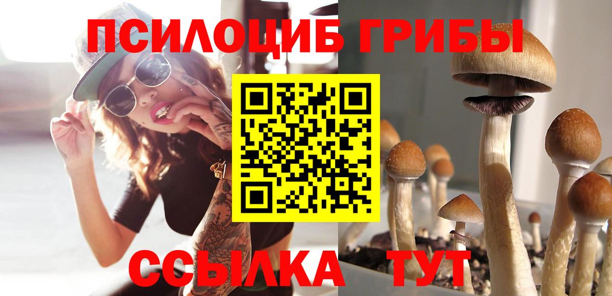 Прокопьевск  Галлюциногенные грибы Psilocybe  Вход с VPN  Галлюциногенные грибы Psilocybe 
