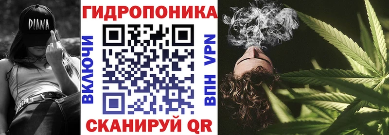 OMG ONION  Прокопьевск  Шишки марихуана план 